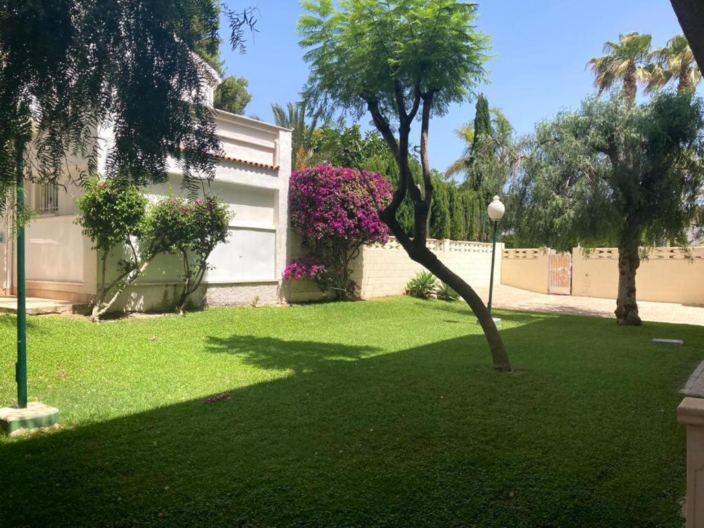 Apartamento Con Piscina Y Parking El Campello Eksteriør billede